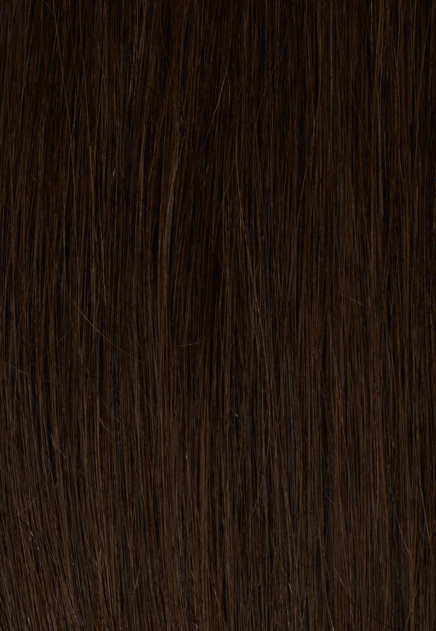 Medium Brown (2B) Halo