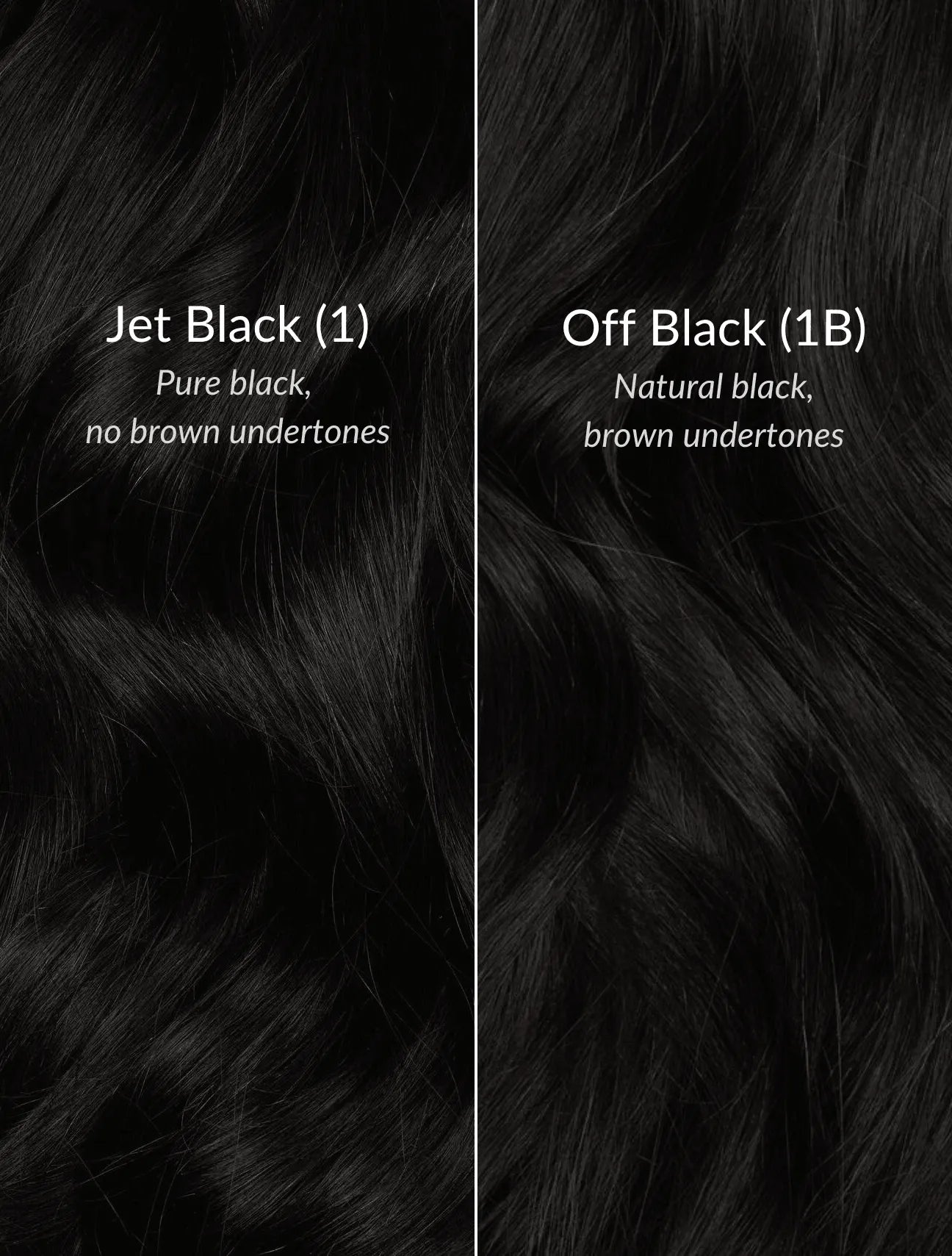 Off Black (1B) 22" 220g - Clip-Ins