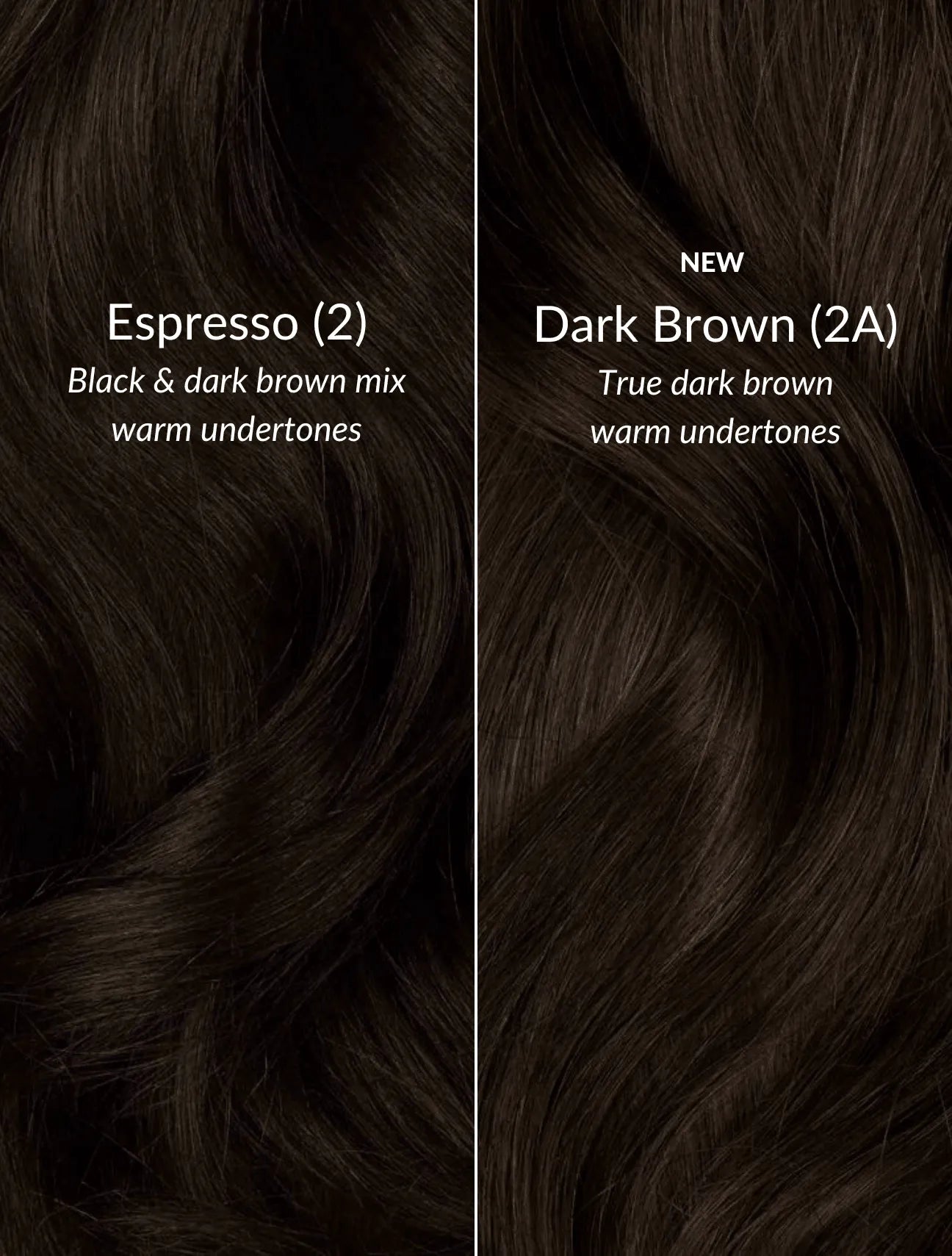 Dark Brown (2A) 22" 220g - Clip-Ins