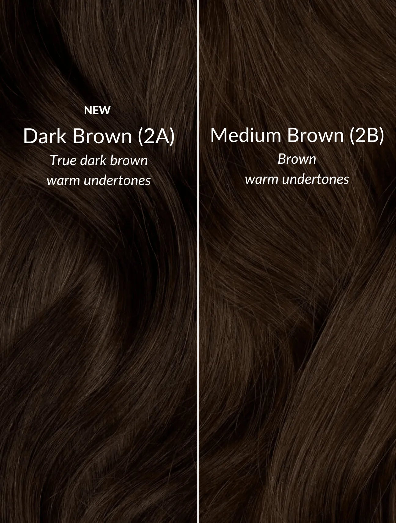 Medium Brown (2B) 22" 220g - Clip-Ins