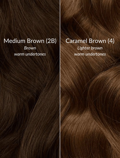 Medium Brown (2B) 20" 220g - Clip-Ins
