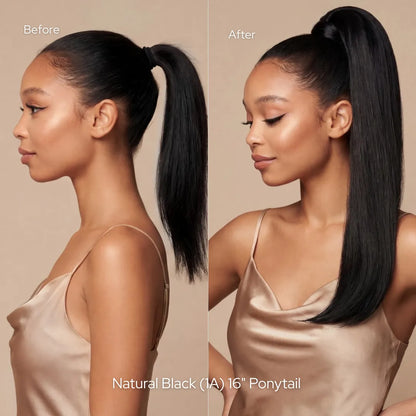 Jet Black (1) Ponytail