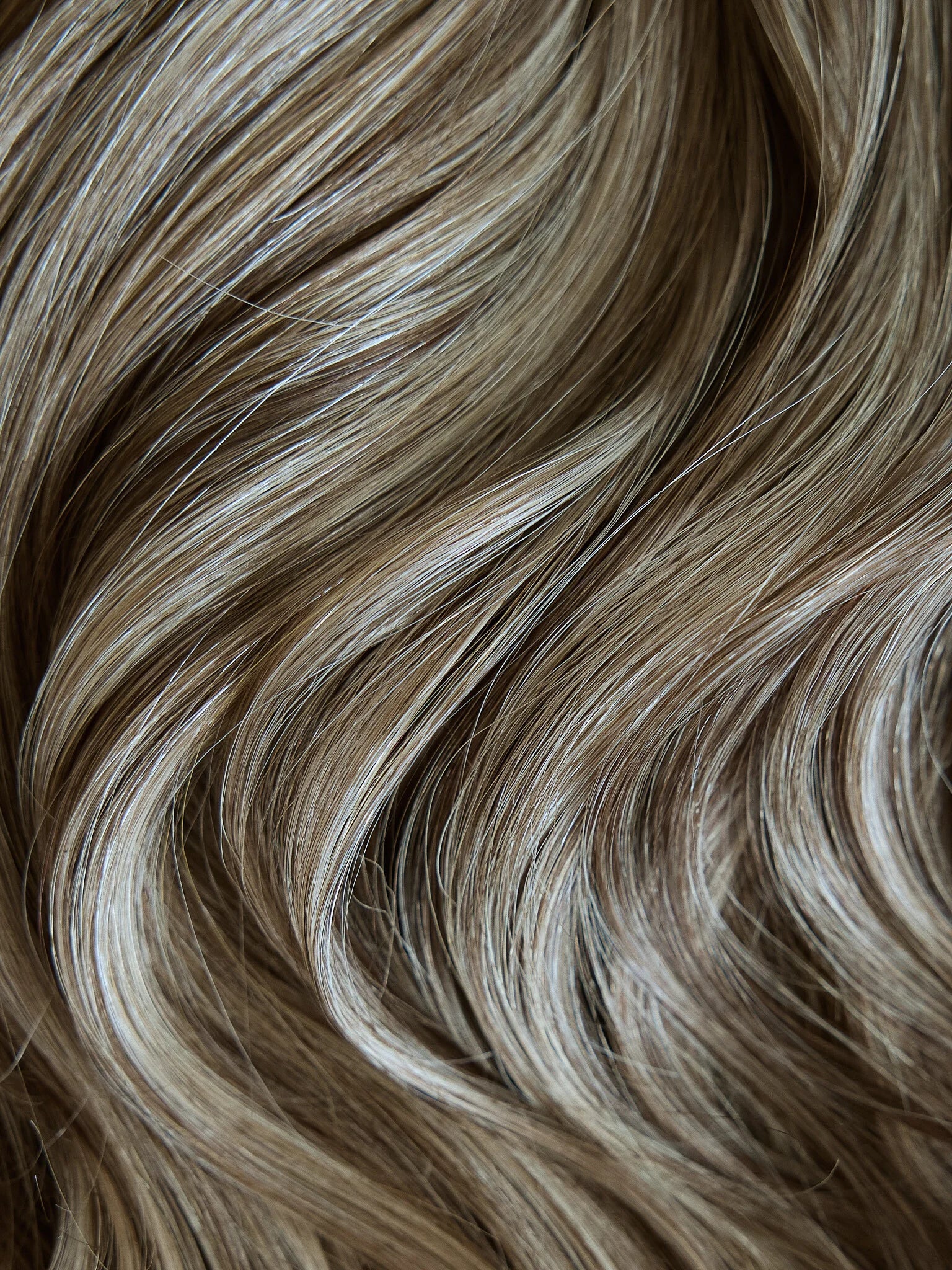 Brown/Blonde Highlights (P5/16) 
