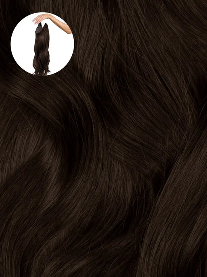 Dark Brown (2A) Halo