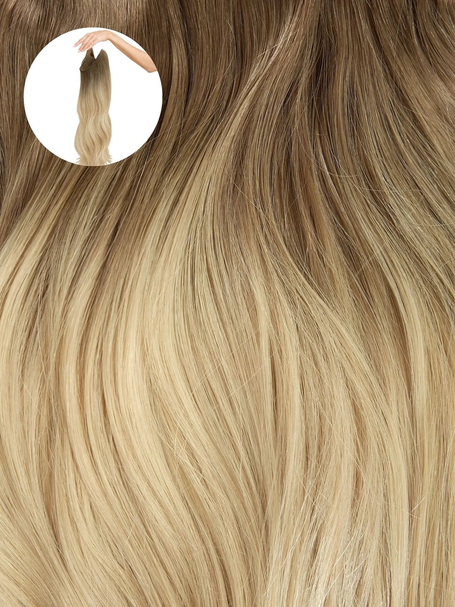 Ombre - Cool Brown To Dirty Blonde (T6/20)