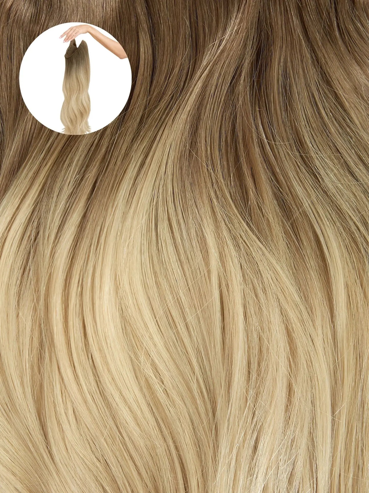 Ombre - Cool Brown To Dirty Blonde (T6/20) Halo