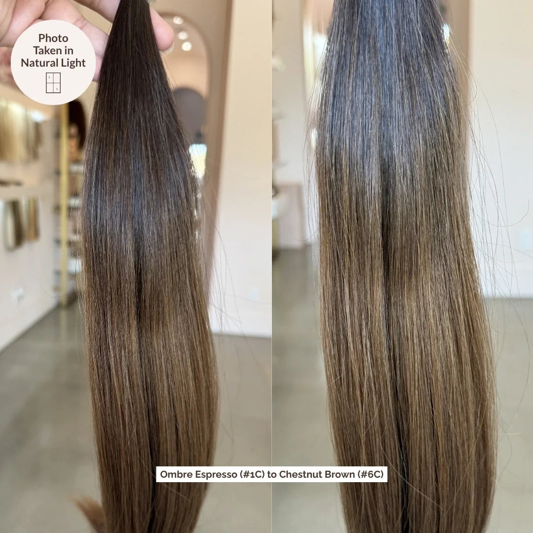 Ombre Espresso (#1C) to Chestnut Brown (#6C) 100g Weft